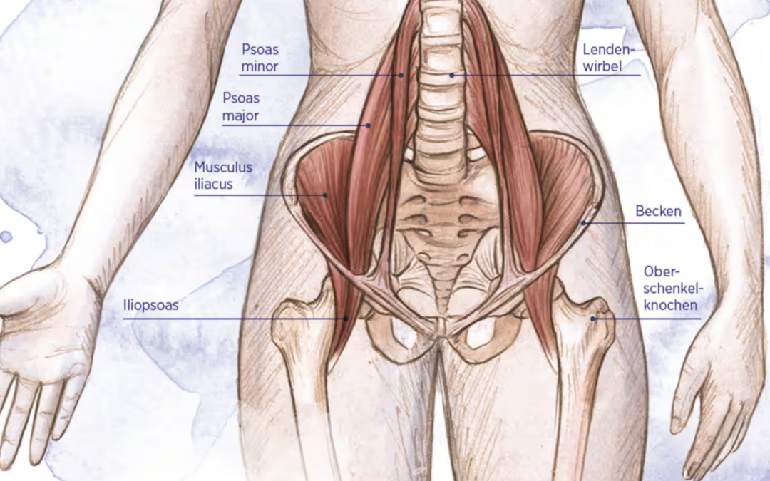 Was ist Iliopsoas Syndrom? 