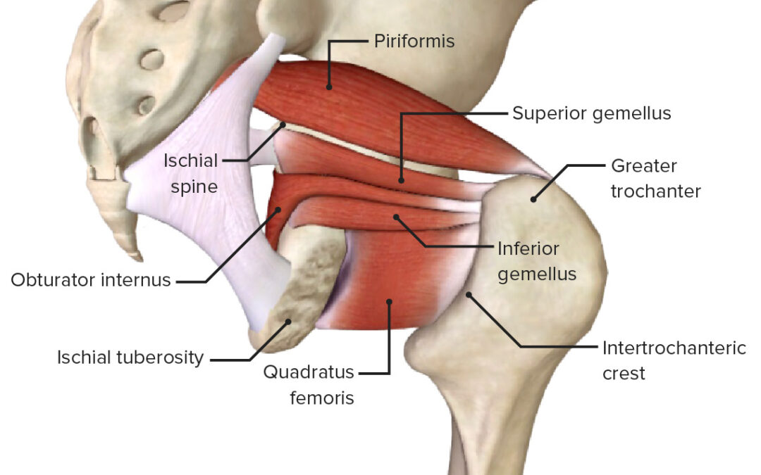 Was ist ein Piriformis-Syndrom?